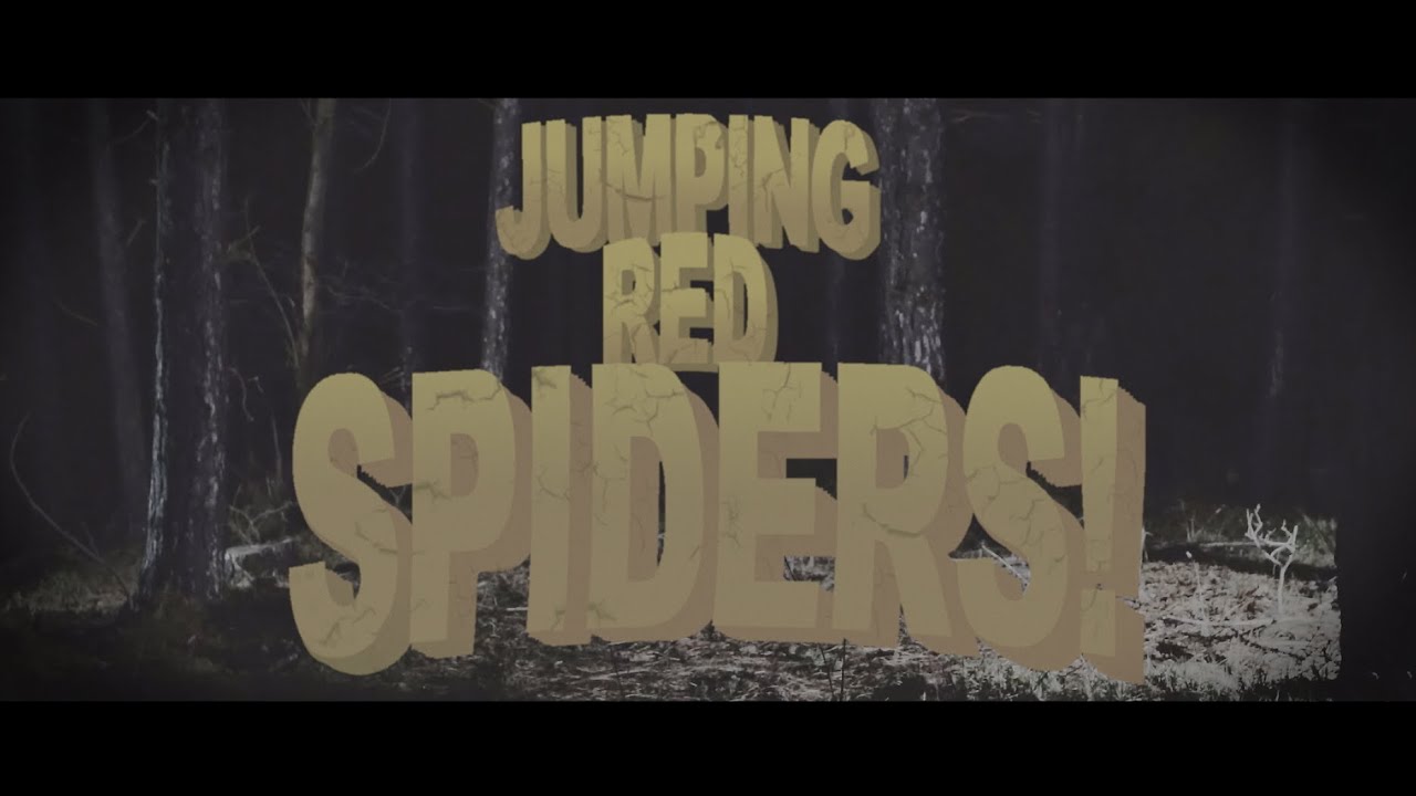 Al The Coordinator: “Jumping Red Spiders” è il nuovo video #trakoftheday