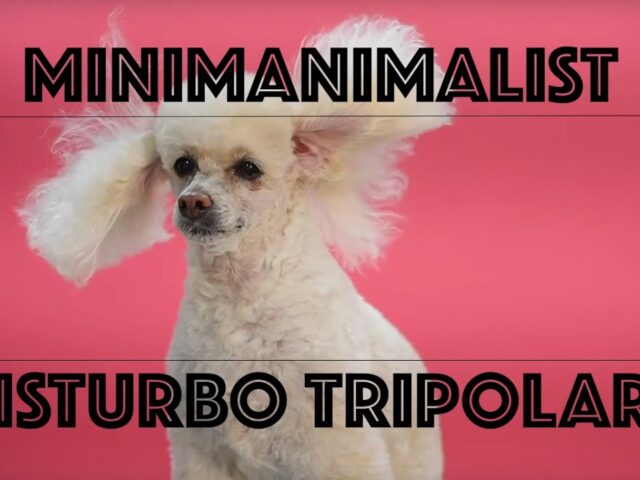 Minimanimalist: “Disturbo Tripolare” in anteprima esclusiva su TRAKS!