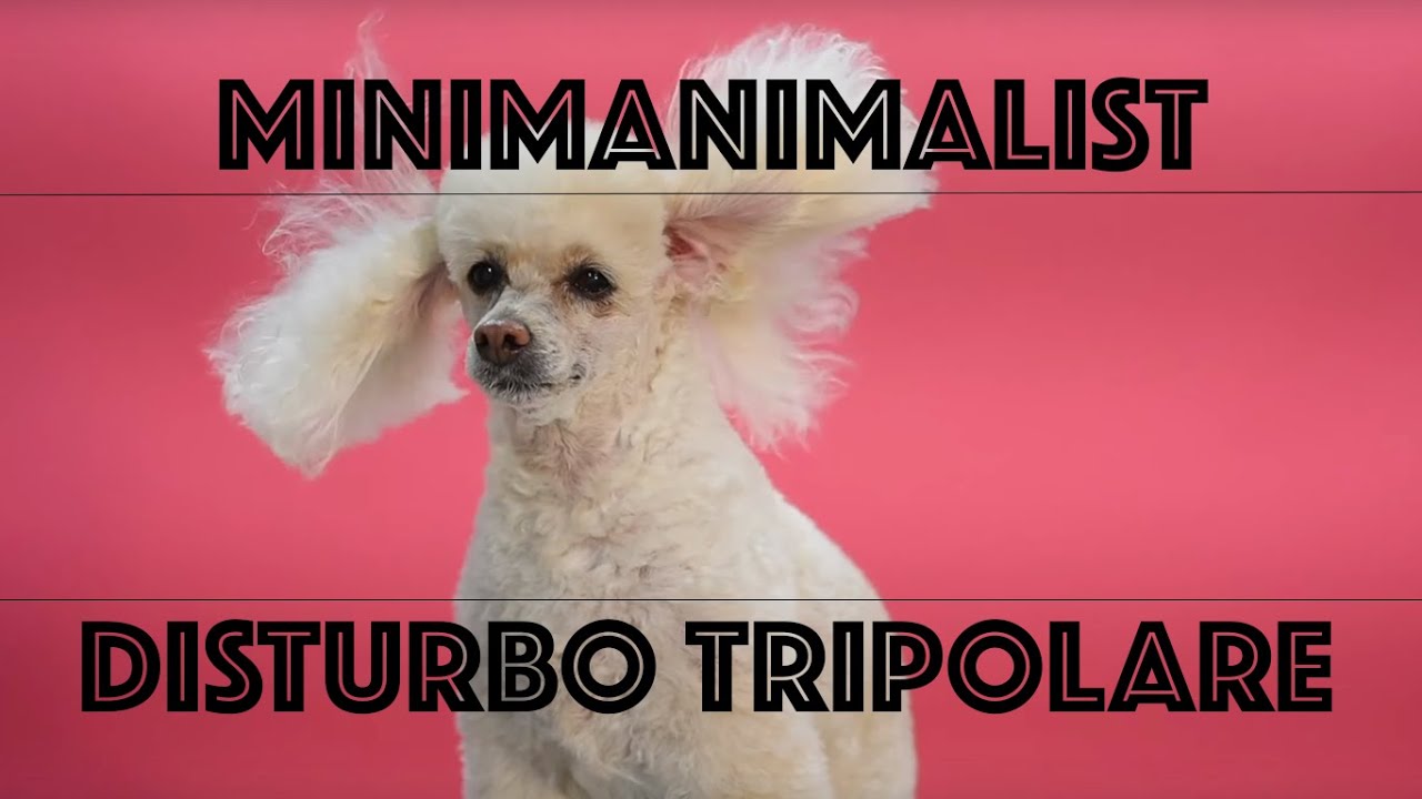 Minimanimalist: “Disturbo Tripolare” in anteprima esclusiva su TRAKS!