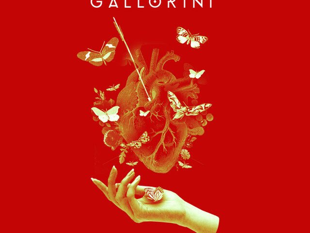 Marco Gallorini: “Saremo” è il nuovo singolo