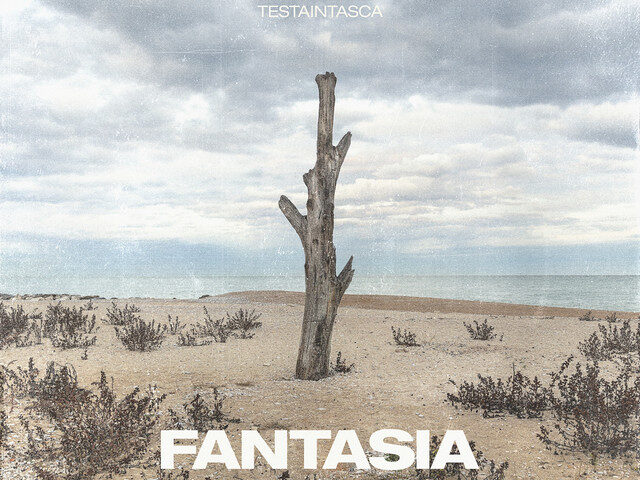 Testaintasca, “Fantasia”: la recensione