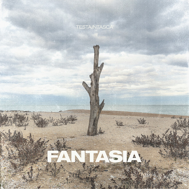 Testaintasca, “Fantasia”: recensione e streaming