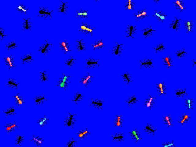 Superfluuuo: “Formiche” è il nuovo singolo