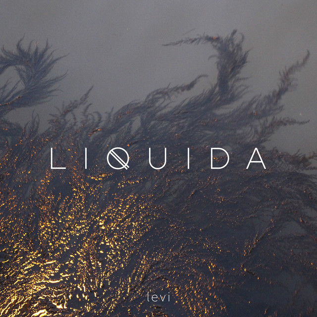 Levi, “Liquida”: la recensione