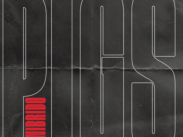 Unibrido, “P.I.G.S.”: la recensione
