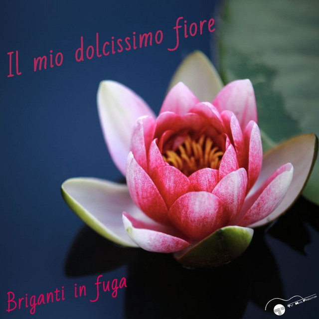 Briganti in fuga: “Il mio dolcissimo fiore” è il nuovo singolo