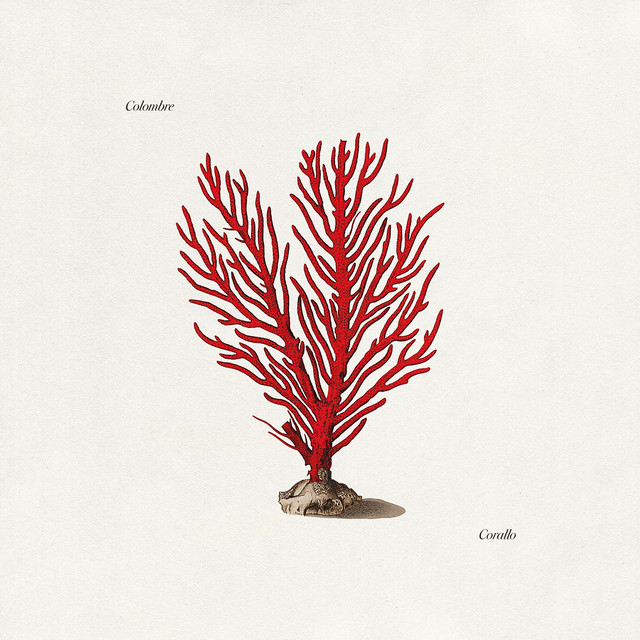 Colombre, “Corallo”: recensione e streaming