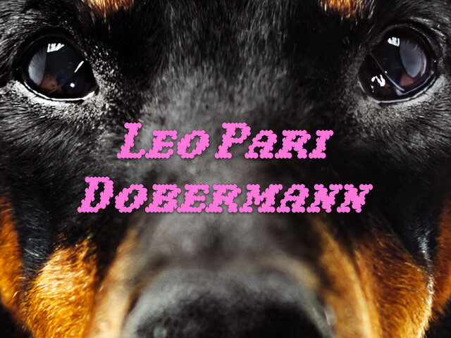 Leo Pari: “Dobermann” è il nuovo singolo