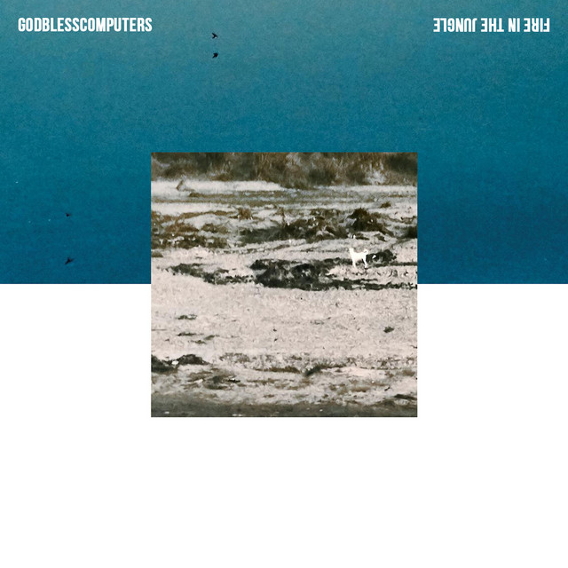 Godblesscomputers: “Fire In The Jungle” è il nuovo singolo