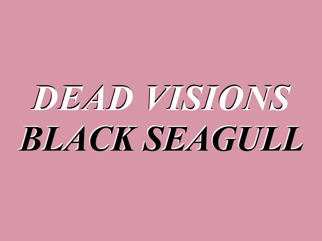 Dead Visions: “Black Seagull” è il nuovo singolo