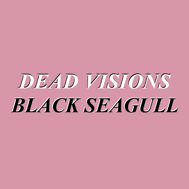 Dead Visions: “Black Seagull” è il nuovo singolo