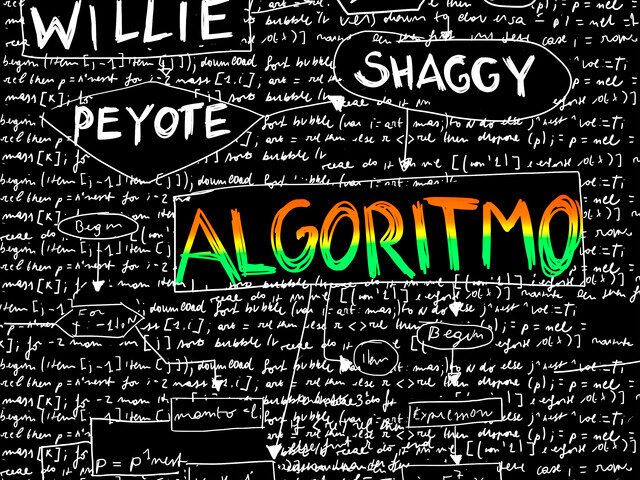 Willie Peyote feat. Shaggy: “Algoritmo” è il nuovo singolo