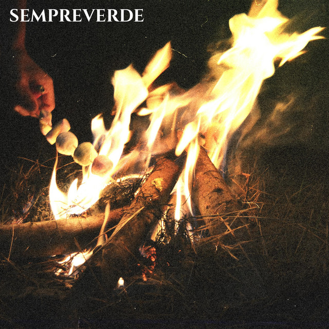 Sempreverde: “Non ci fa stare bene” è il nuovo singolo