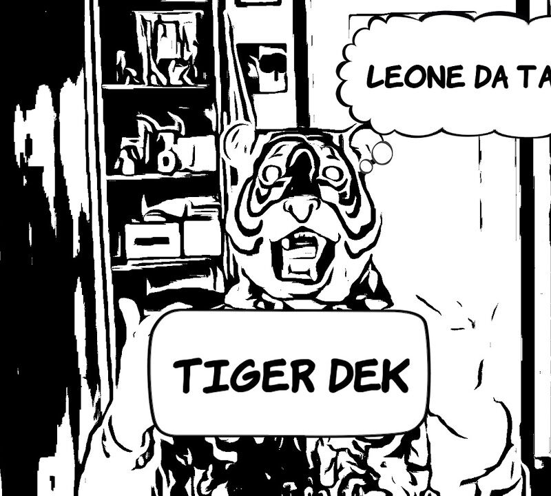 Tiger Dek: una reazione istintiva