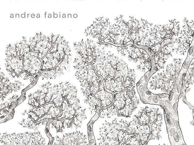Andrea Fabiano, “La timidezza delle chiome”: la recensione