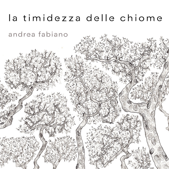 Andrea Fabiano, “La timidezza delle chiome”: recensione e streaming