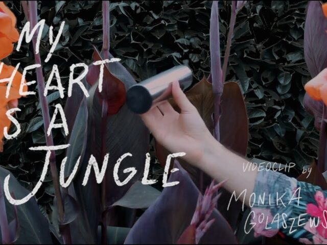 Skelets on me: “My heart is a jungle” è il nuovo video #trakoftheday