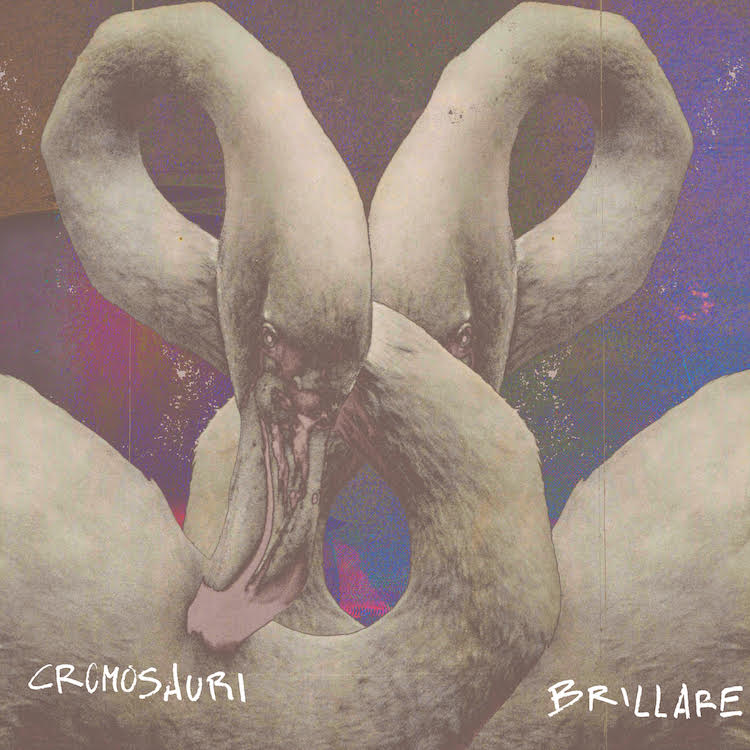 cromosauri