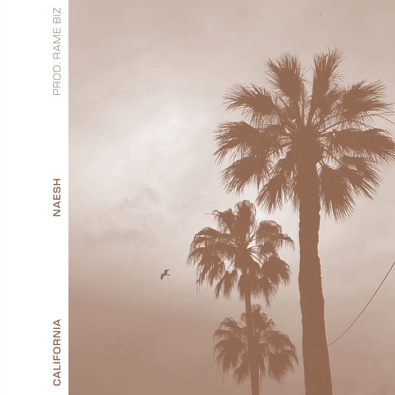 Naesh: “California” è il nuovo singolo