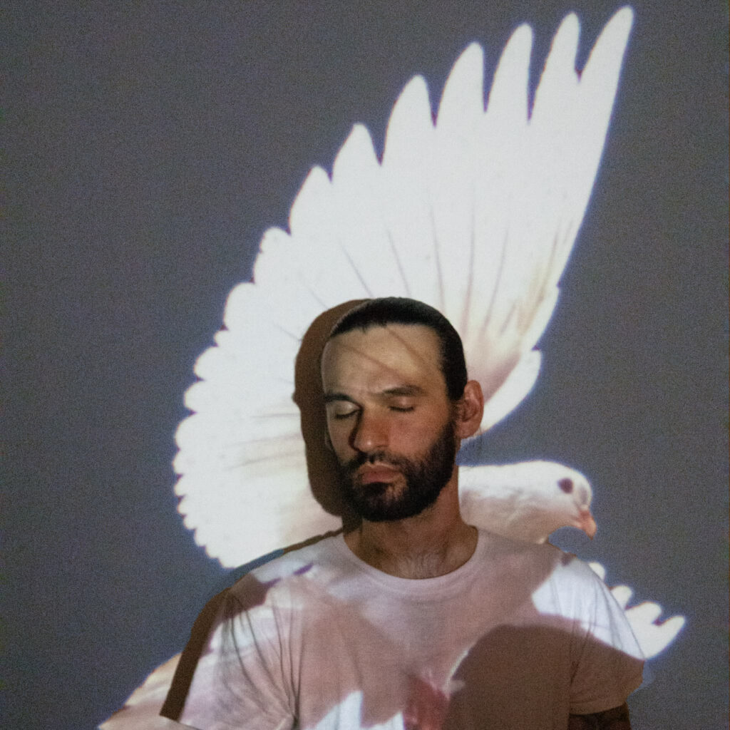 Metcalfa, “Where We’re from the Birds Sing a Pretty Song”: la recensione