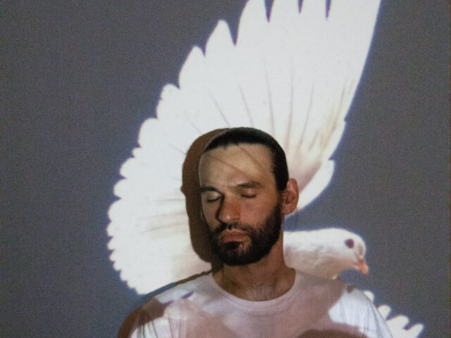 Metcalfa, “Where We’re from the Birds Sing a Pretty Song”: la recensione
