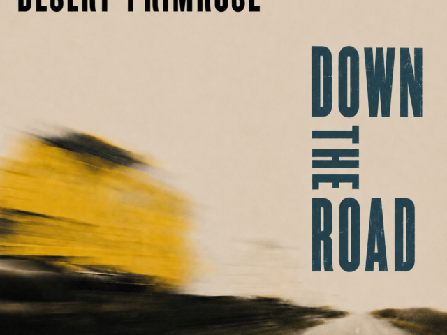 Desert Primrose: “Down The Road” è il nuovo singolo